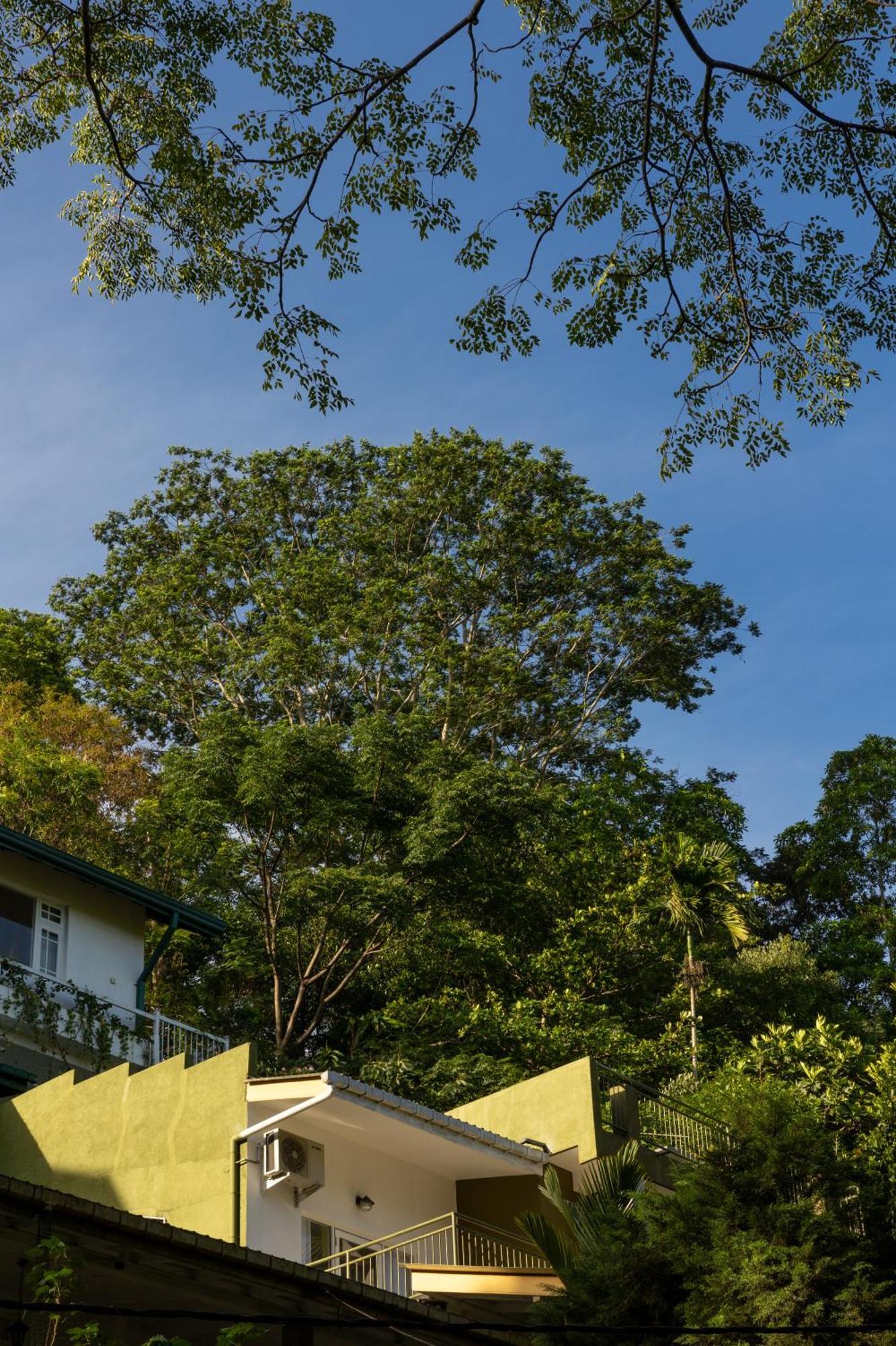Greenwood Edge Kandy Exterior foto